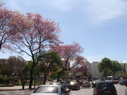 DSC07853