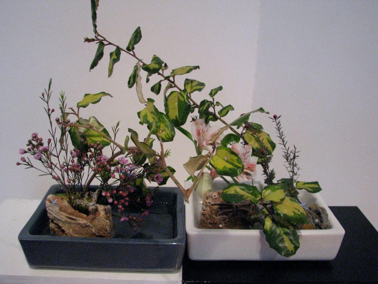 ikebana por la paz