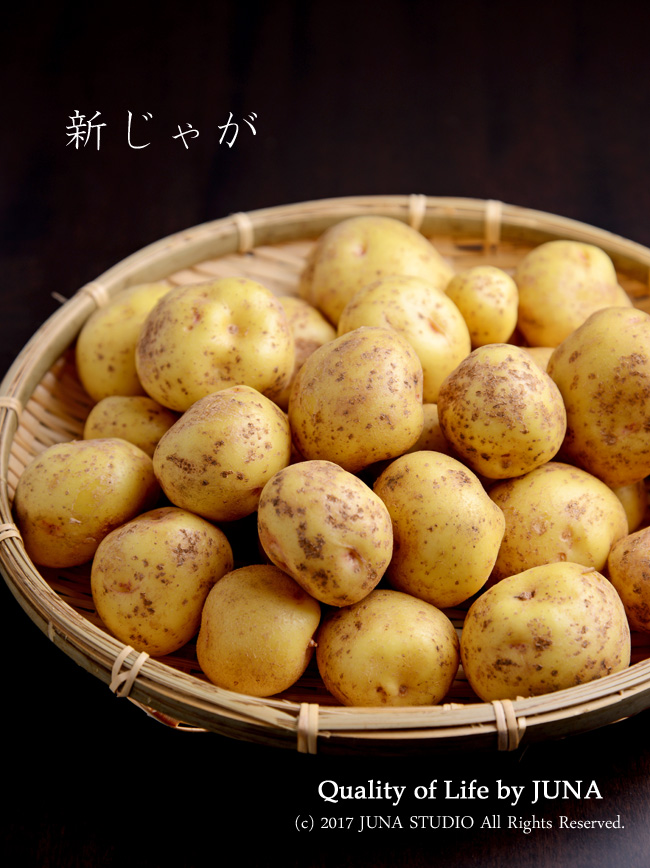 potechi06171