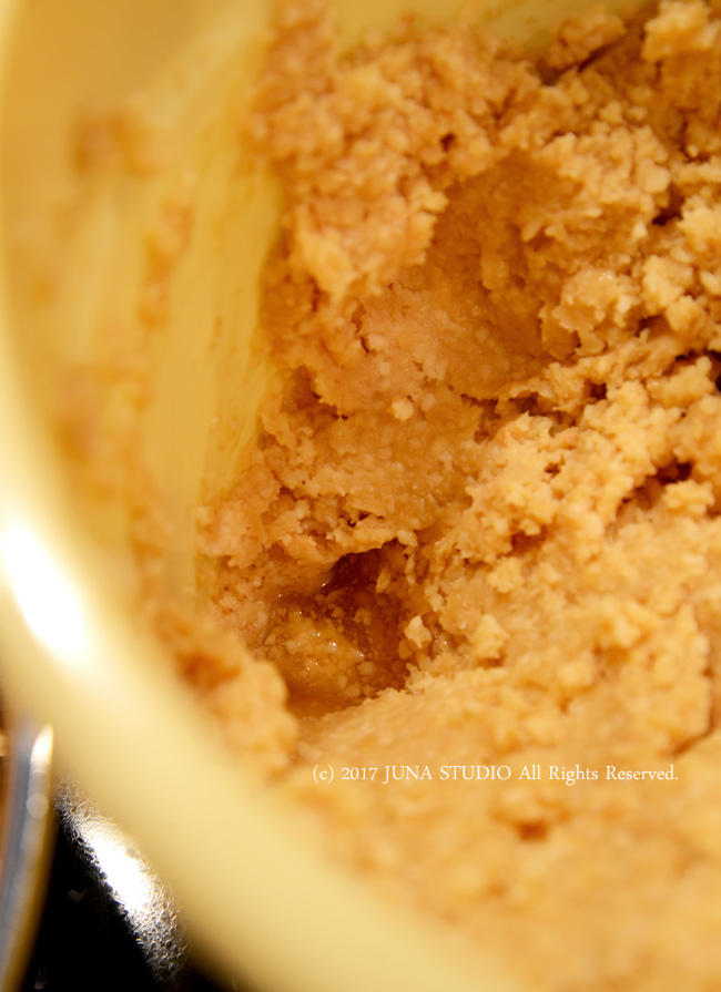 miso04173