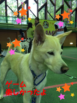 BlogPaint