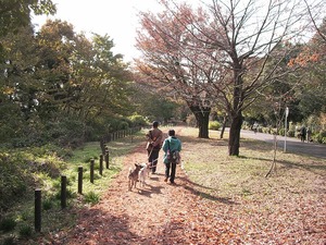 ピース君かげにかくれちゃった!