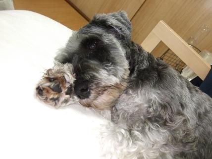 20100923gonta