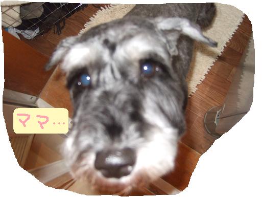 20101223gonta1