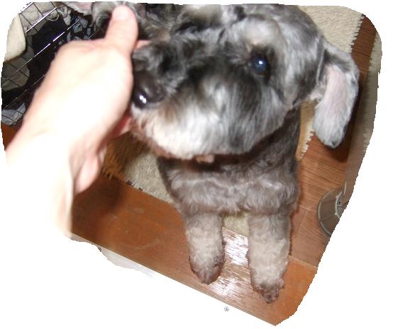 20101223gonta2