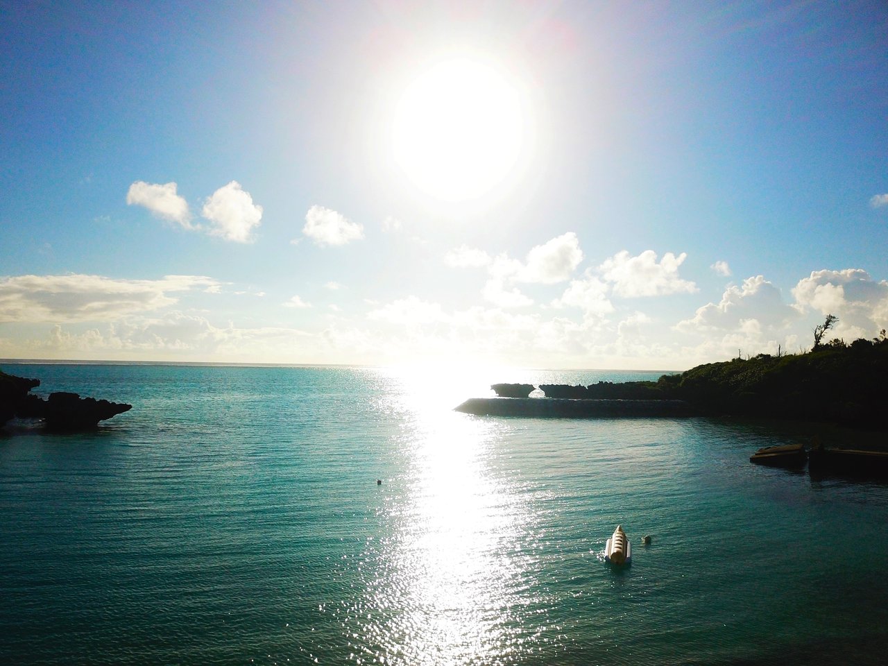 とまこ与論IMG_7516