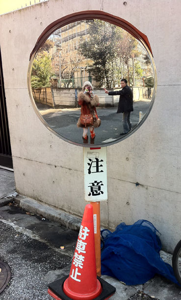 低いミラー