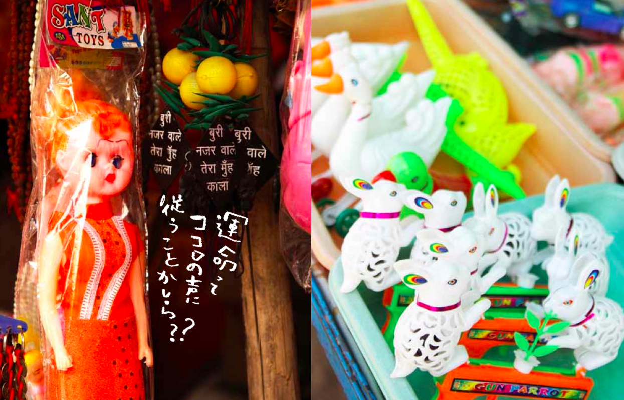 離婚して、インド とまこ写真