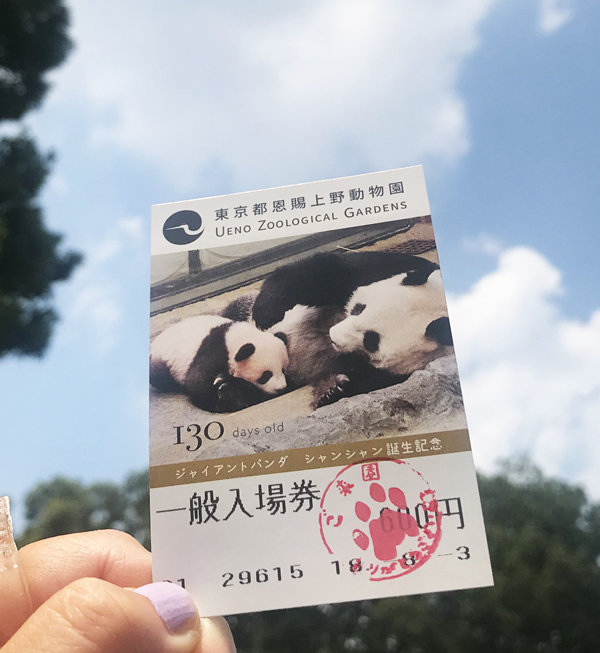 上野動物園入場券