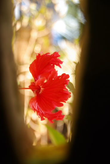 IMGP5298mm
