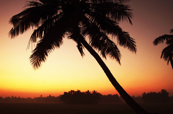 バックウォータークルーズやし700