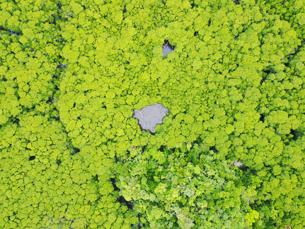 吹通川DJI_0052600