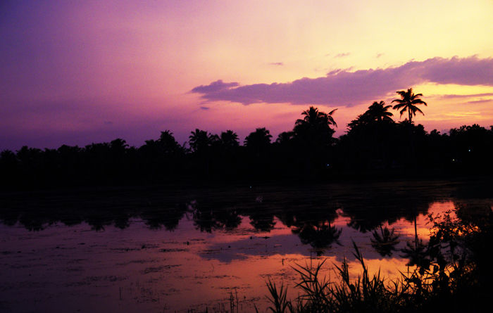 バックウォーター3700