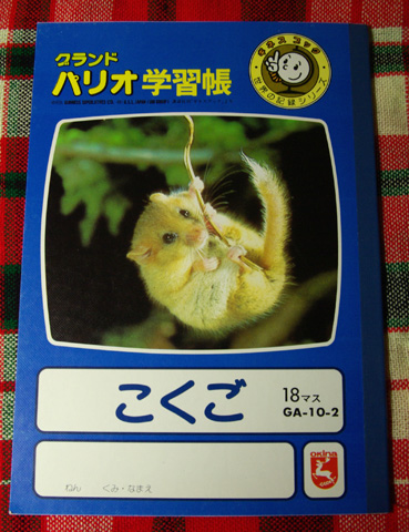 パリオ学習帳