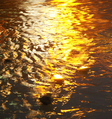 IMGP5793mm