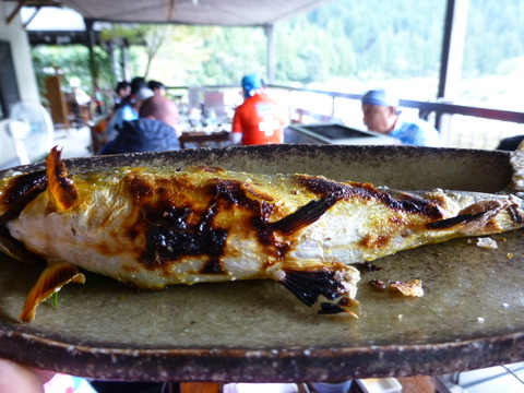 P1000475