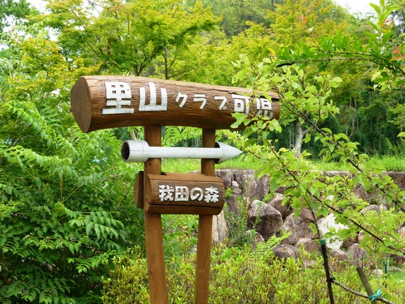 wagata1