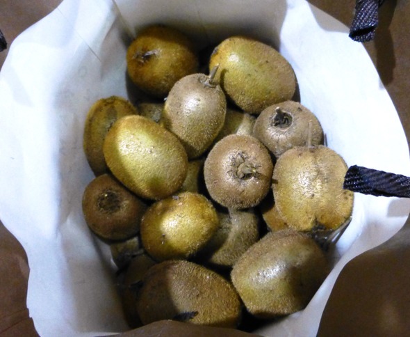 P1030057