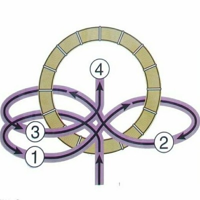 26168481_1588522544561661_2680648786796136479_n