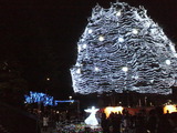 b4b08773.jpg