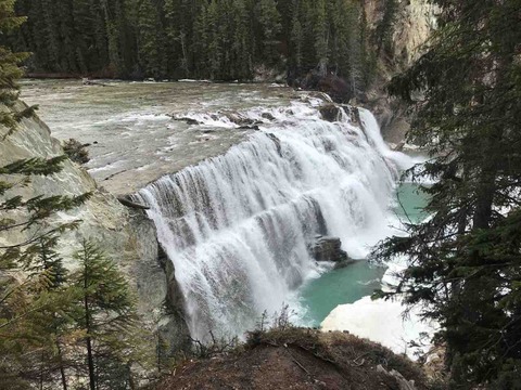 Wapta Falls