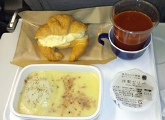 7/6 JAL���⿩��