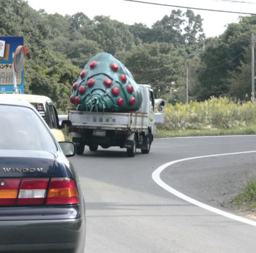 �峤�����դ�뤾��