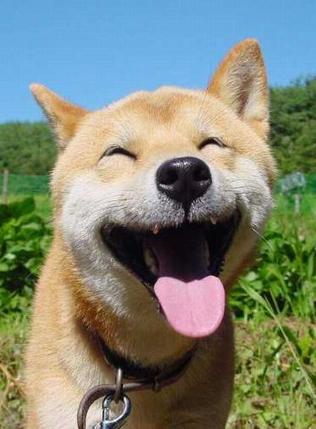 ����ʾ�ʤ��д�