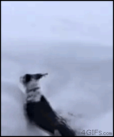 ���ϴ�ӡ��������ޤ��