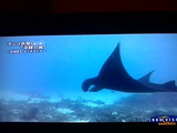 IMG00094-20120105-2122