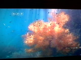 IMG00096-20120105-2123