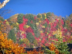 612760759_20139069_20150495