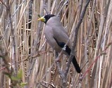 4f01044e.jpg