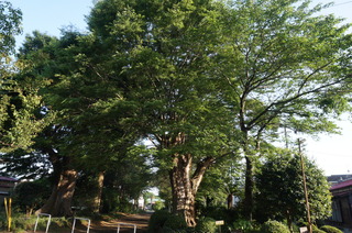 DSC00688