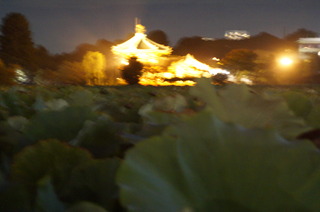 DSC00478