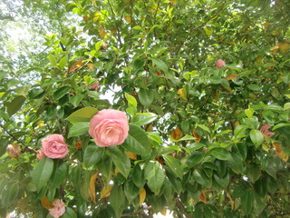 CIMG3568