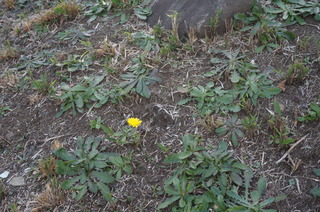 DSC00972