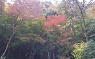 20181203_153855_Burst01