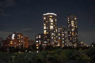 DSC00477
