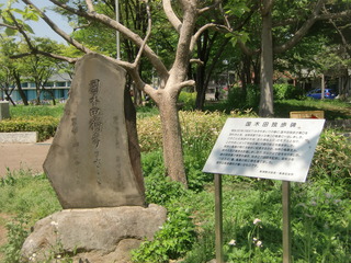 CIMG3534