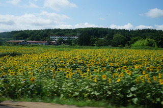 DSC00256