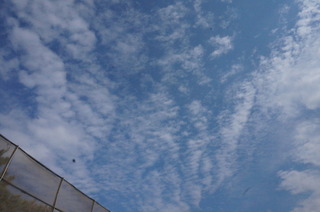 DSC00947