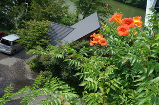 DSC00376
