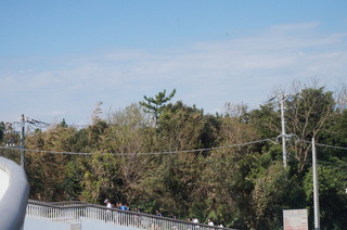 DSC00942