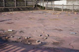DSC00966