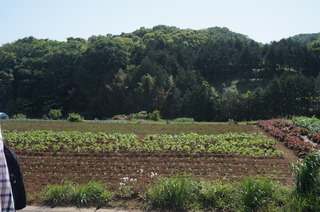 DSC00661