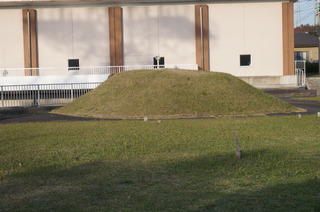 DSC00973