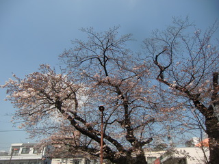 CIMG3495