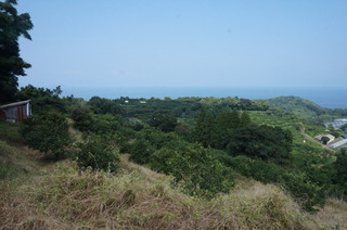 10ÂÞ4