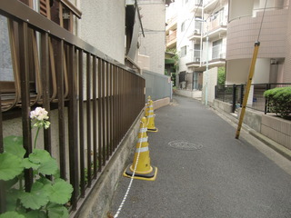 CIMG3559